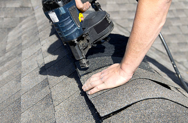 Best Roof Maintenance and Cleaning  in Elko, NV